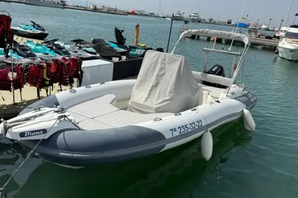Marlin Boats 790