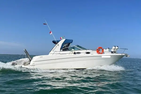 Sea Ray Sundancer 290