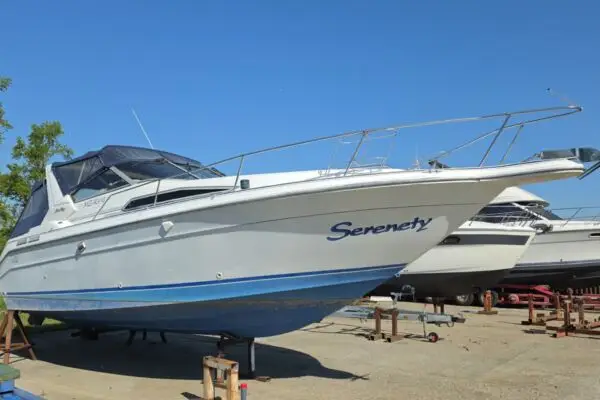 SEARAY SeaRay 310